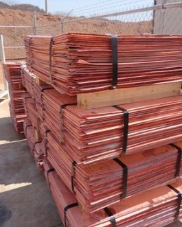 Copper Cathodes